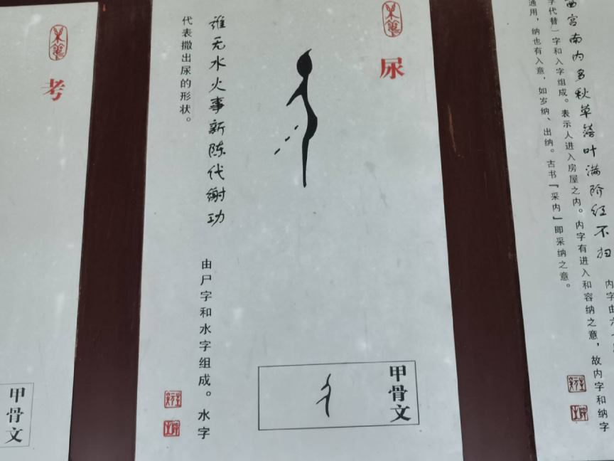 (殷墟博物馆甲骨文长廊上"屎")(想象中的风字甲骨文)目前还没有发现屁