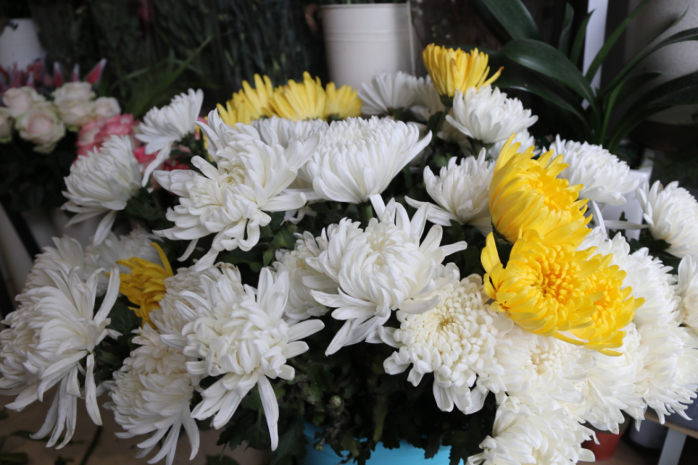 网络中国节清明绥阳鲜花祭祀环保文明又清明