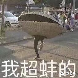 与鸟鸟共话梗趣，揭秘脱口秀演员的秘密