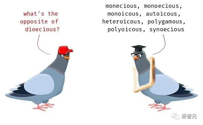 与鸟鸟共话梗趣，揭秘脱口秀演员的秘密