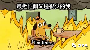 与鸟鸟共话梗趣，揭秘脱口秀演员的秘密