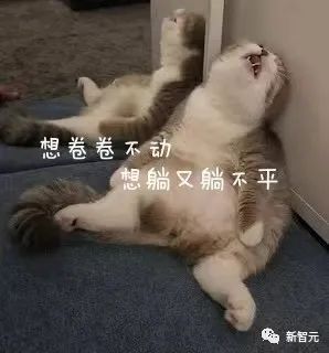 与鸟鸟共话梗趣，揭秘脱口秀演员的秘密