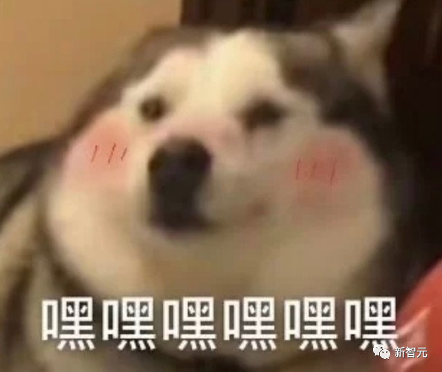 与鸟鸟共话梗趣，揭秘脱口秀演员的秘密