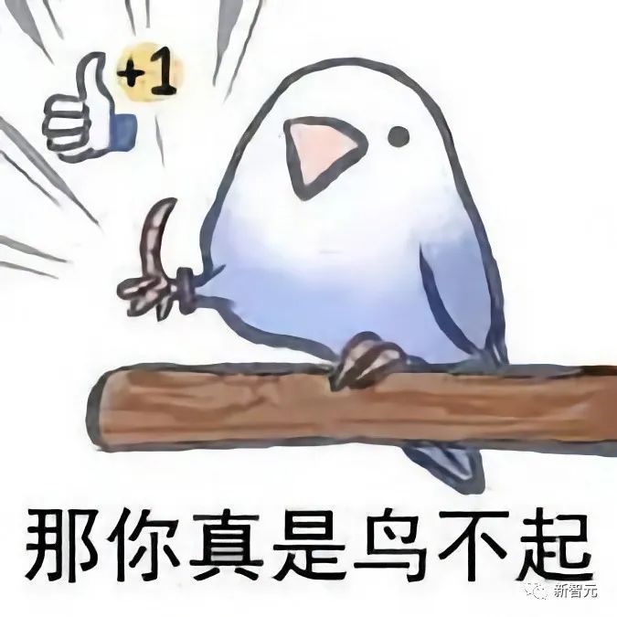 与鸟鸟共话梗趣，揭秘脱口秀演员的秘密