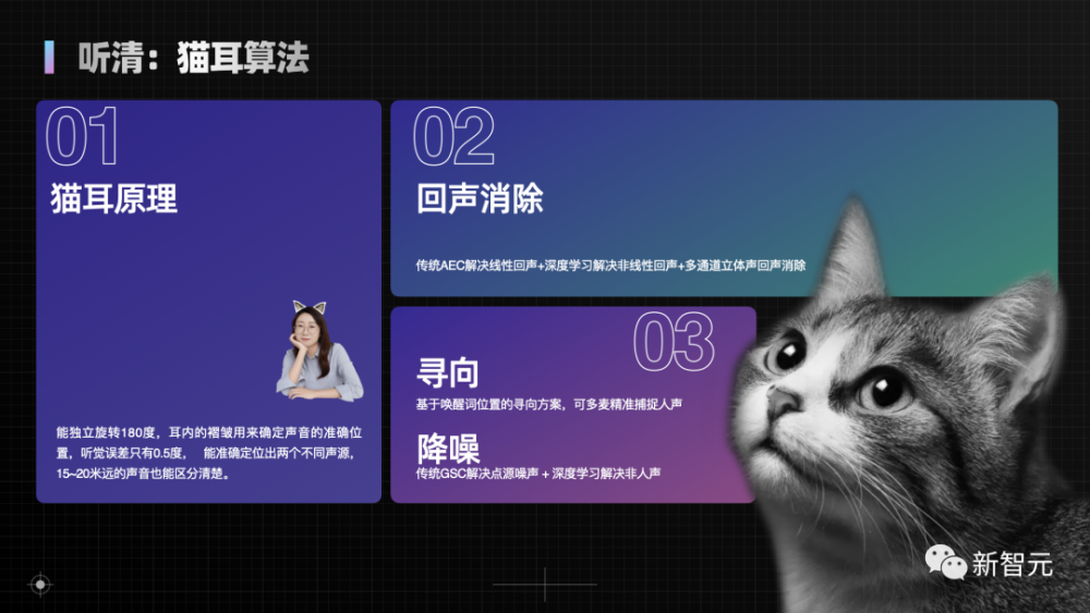 与鸟鸟共话梗趣，揭秘脱口秀演员的秘密