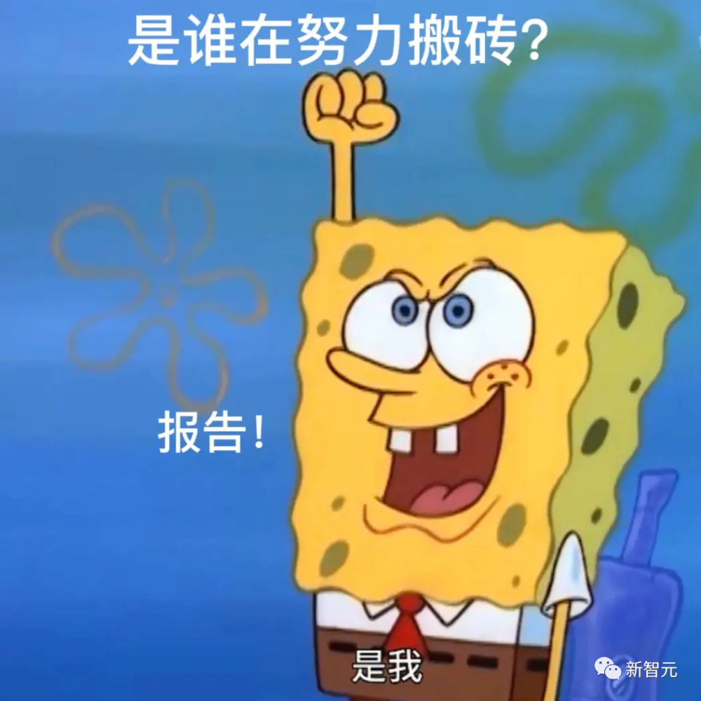 与鸟鸟共话梗趣，揭秘脱口秀演员的秘密