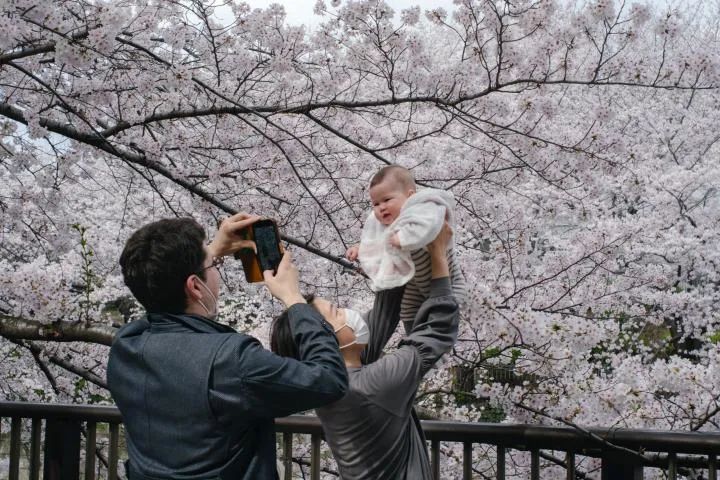 日本少子化速度加快 政府加大"催生"力度_腾讯新闻