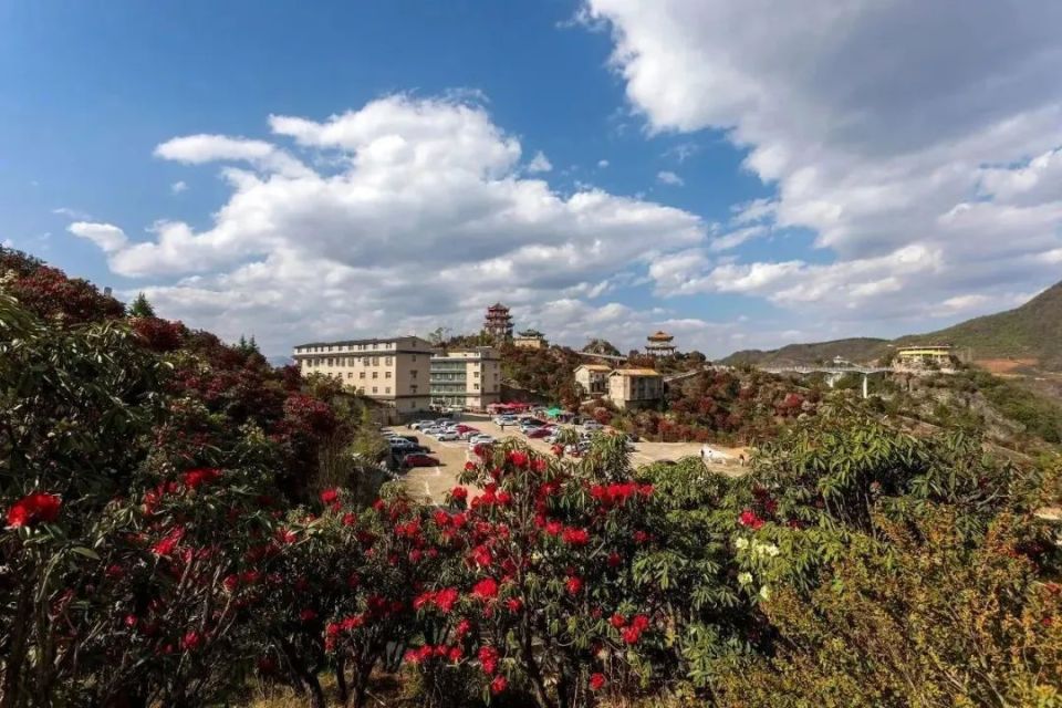 【多彩贵州61花漾中国】镜头里的钟山|天生湖十里杜鹃花,惊艳了春天