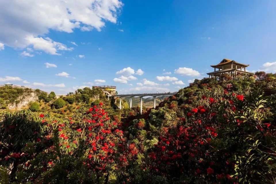 【多彩贵州•花漾中国】镜头里的钟山