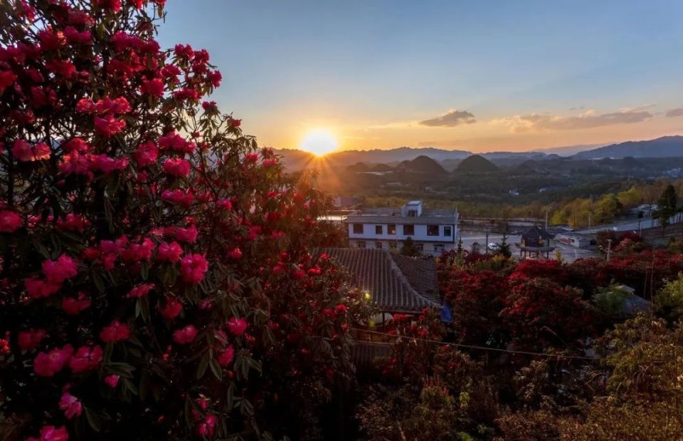 【多彩贵州61花漾中国】镜头里的钟山|天生湖十里杜鹃花,惊艳了春天