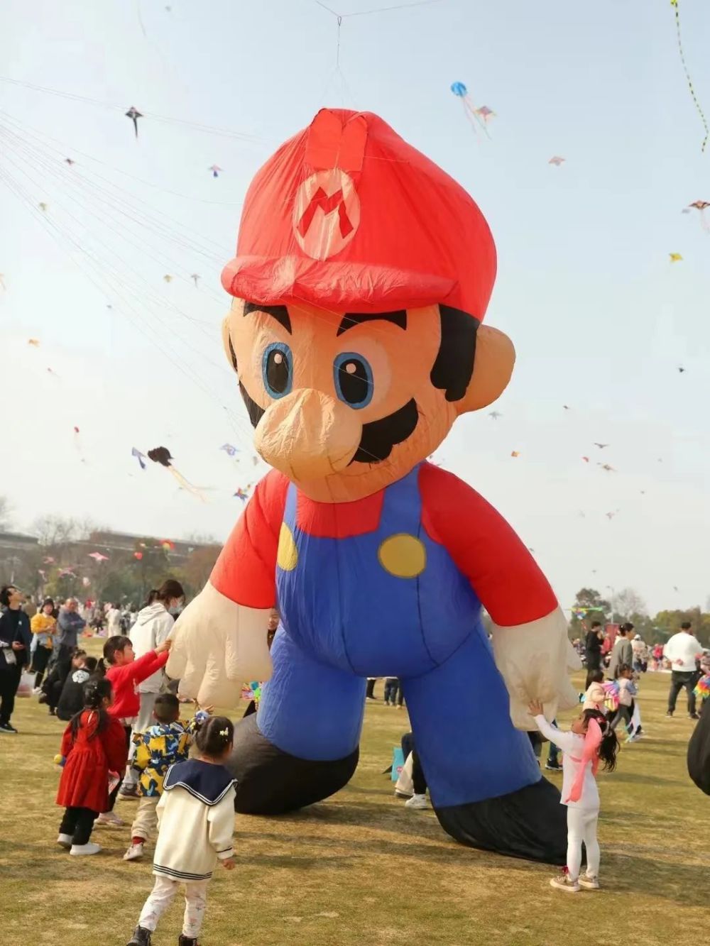 提前准备好工具一起来天元谷放风筝吧~4月5日,4月8日,4月9日参加大