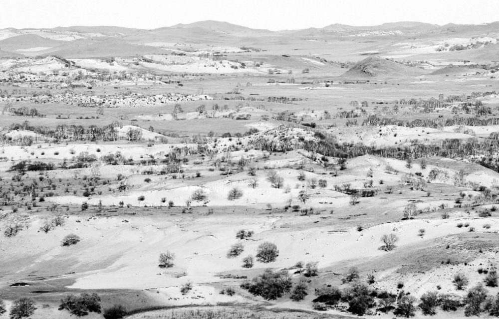 塞罕坝御道口林场在1953年建场,之前这里是"飞鸟无栖树,黄沙遮天日"的