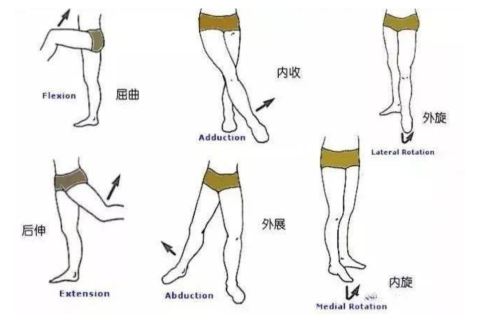 改善o型腿睡姿及配图图片