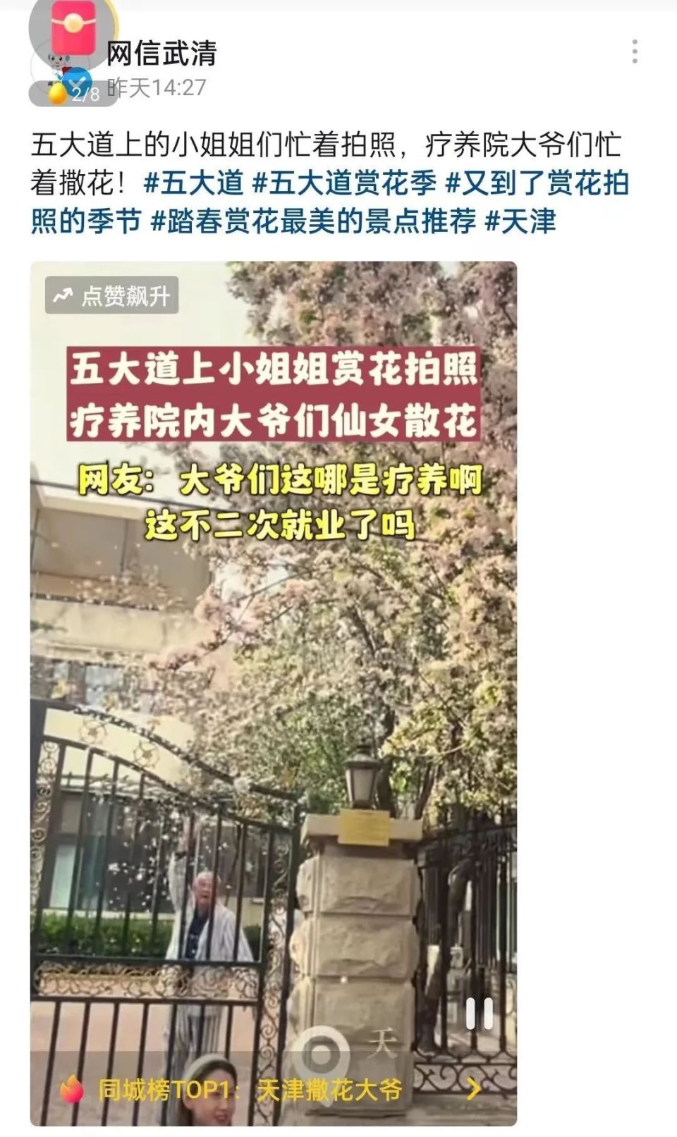 五大道最强“气氛组”，撒花大爷火出圈！没想到，大爷真的是……_腾讯新闻