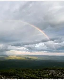 子推燕"以纪念历史上不愿随波逐流的君子介子推在南方人们爱吃"青团"