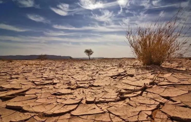 云南85%站点出现干旱