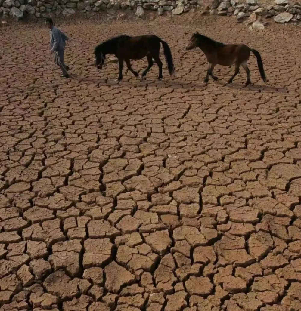 云南85站点出现气象干旱降水10年来最少