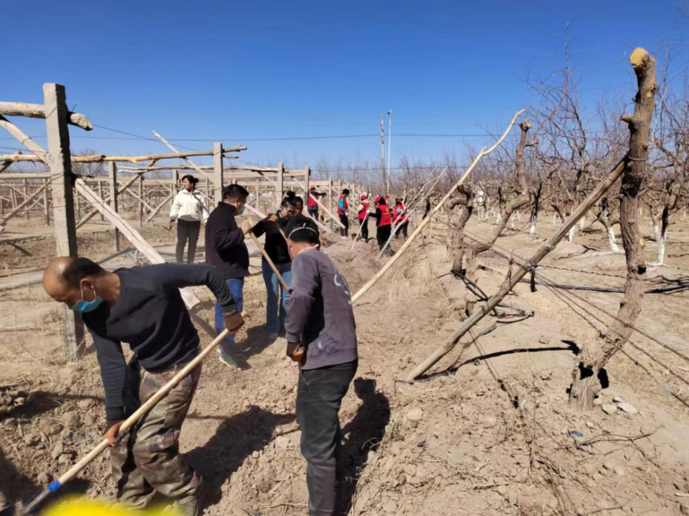 五堡镇:多措并举 不断铸牢中华民族共同体意识
