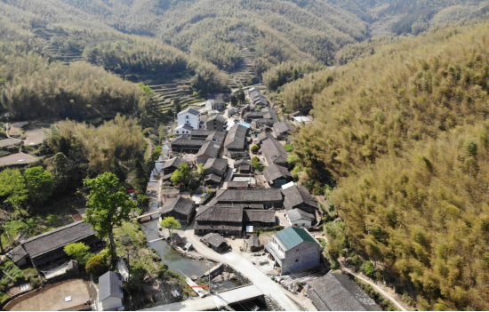 台州黄岩区屿头乡这11个乡村振兴项目集中招商!