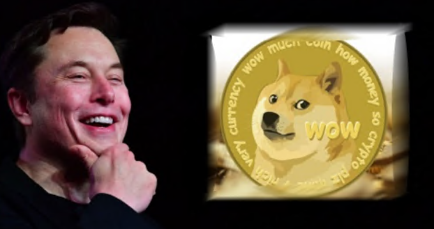 狗狗币是一种表情包加密货币,埃隆·马斯克(elon musk)是其最著名的
