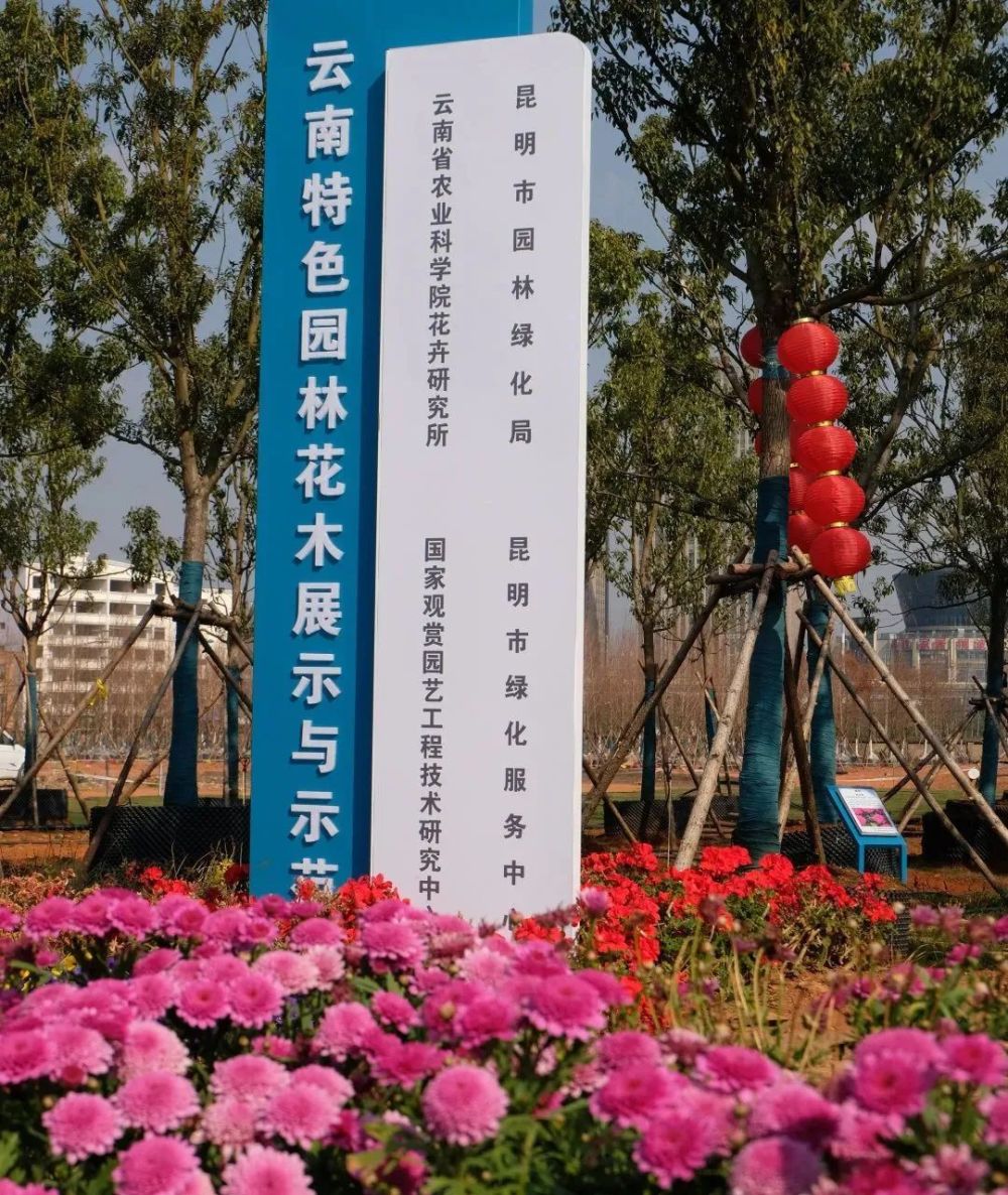 苗圃 公园 科研,滇池绿道边的"秘密花园"藏不住了!_腾讯新闻
