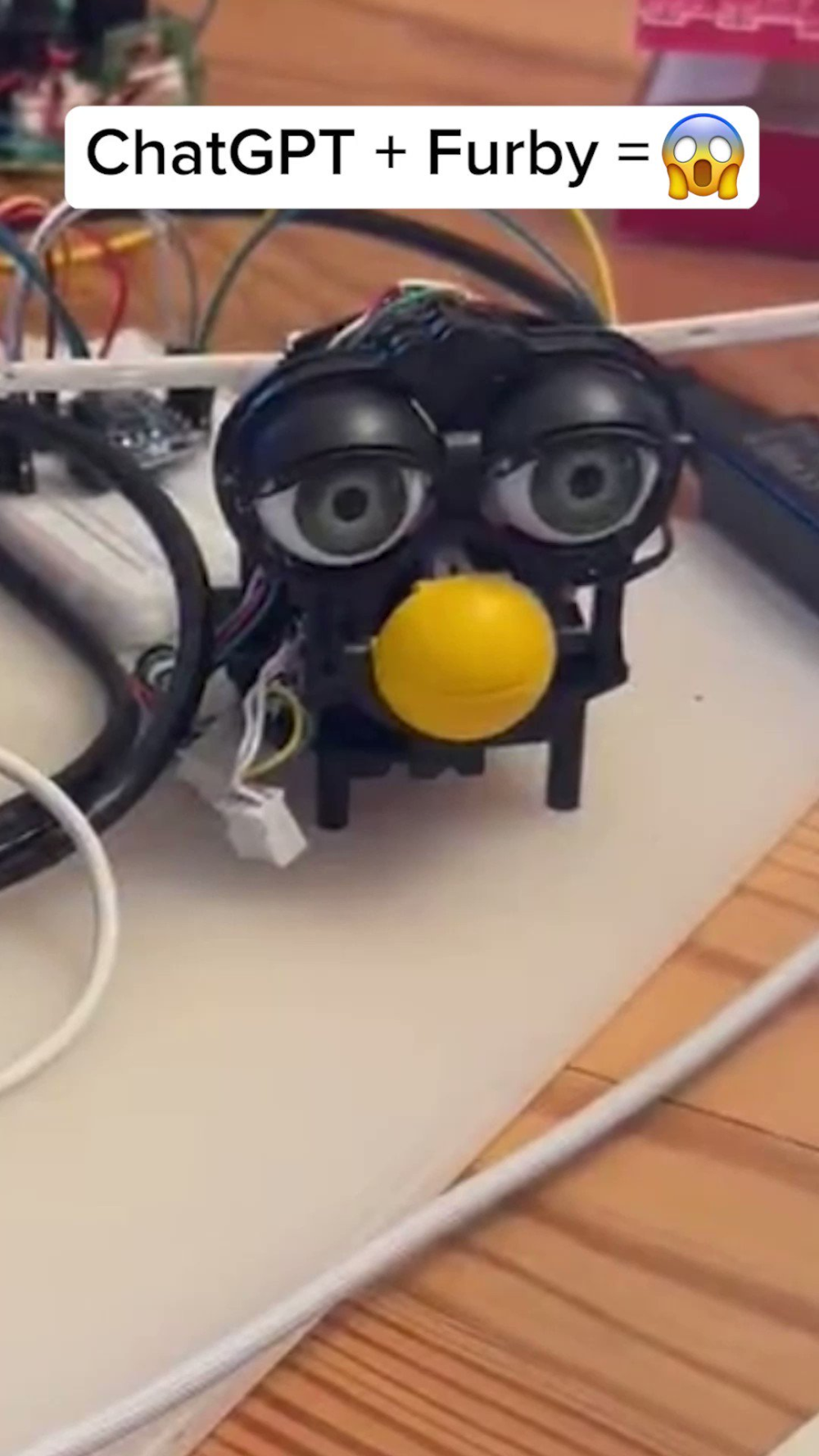 程序媛把ChatGPT导入电子玩偶，它们却想“潜入家庭”甚至要“接管世界”？！_腾讯新闻