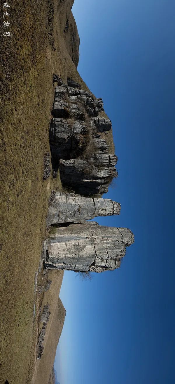 马楠云上草原等待开启最美的季节