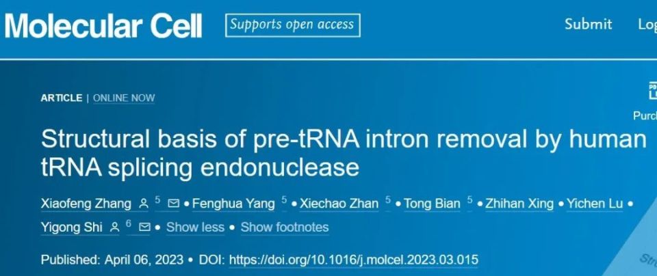 西湖大学施一公团队再发文！解析人源pre-tRNA 剪接机制，完善剪接体结构“地图”_腾讯新闻