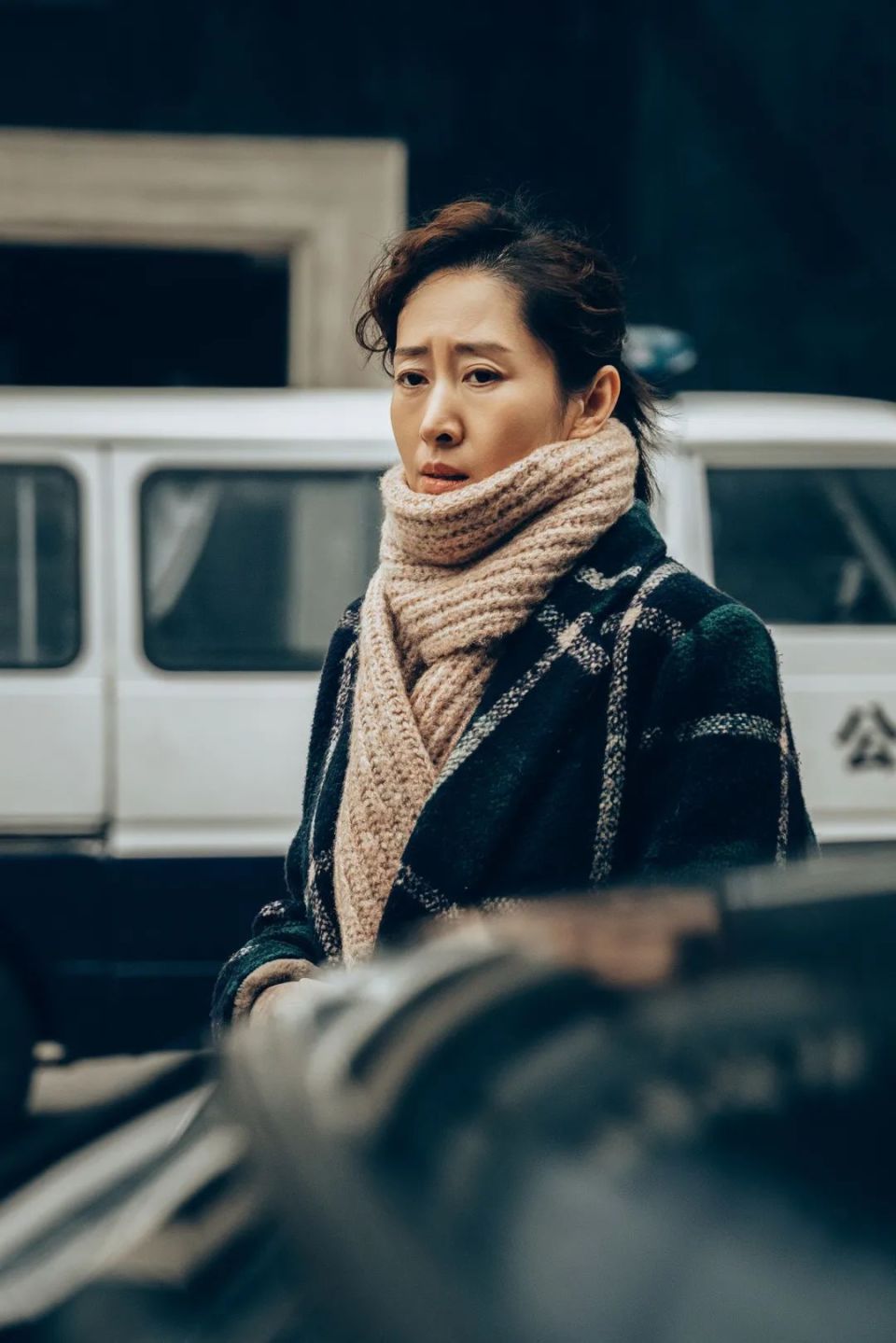 刘敏涛  饰  胡海霞《尘封十三载》正在热播由刘敏涛特别出演