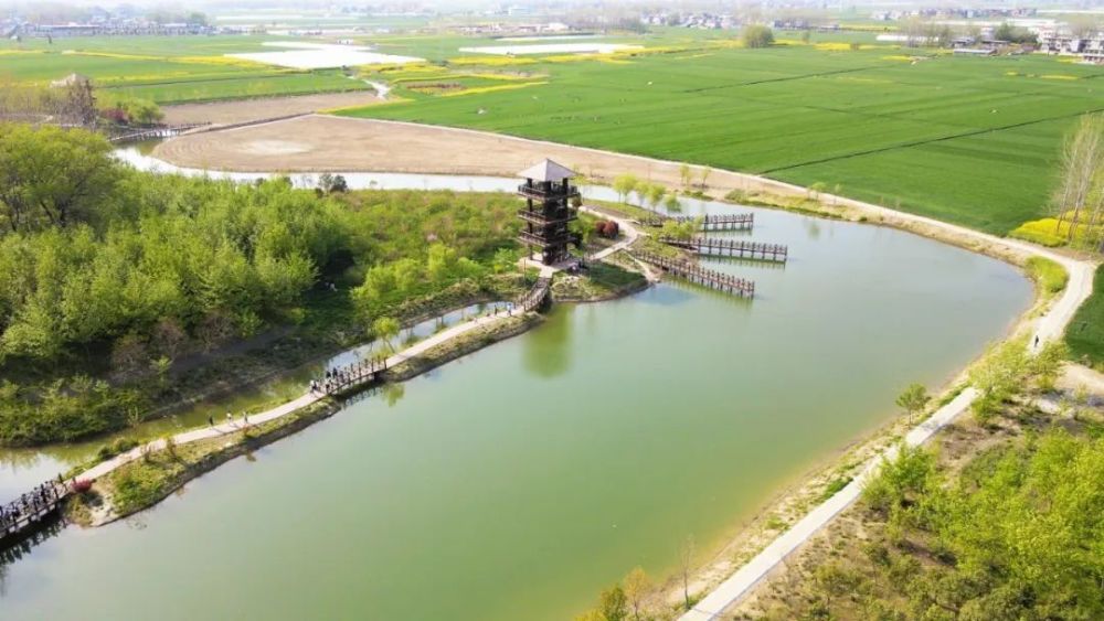 春天的"浪漫",藏在临泉这些地方……_腾讯新闻