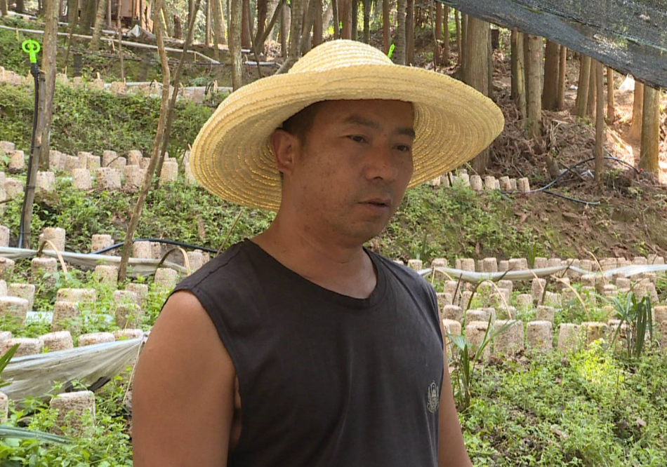 新时代新征程新伟业乐育镇探索强村六法壮大集体经济