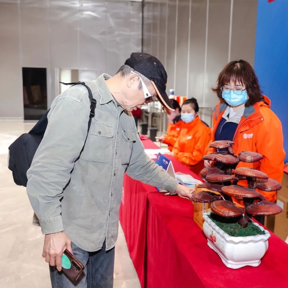 知之者不如好学者好学者不如乐学者_学者灵芝_学者灵芝