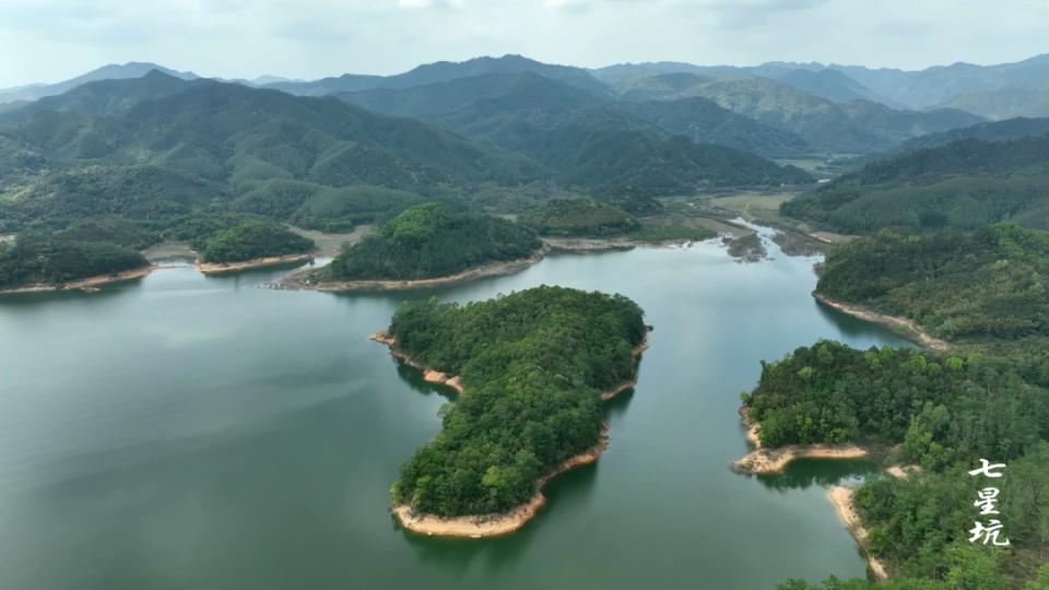 古藤悬空就是其中一处重要的自然瑰宝七星坑省级自然保护区