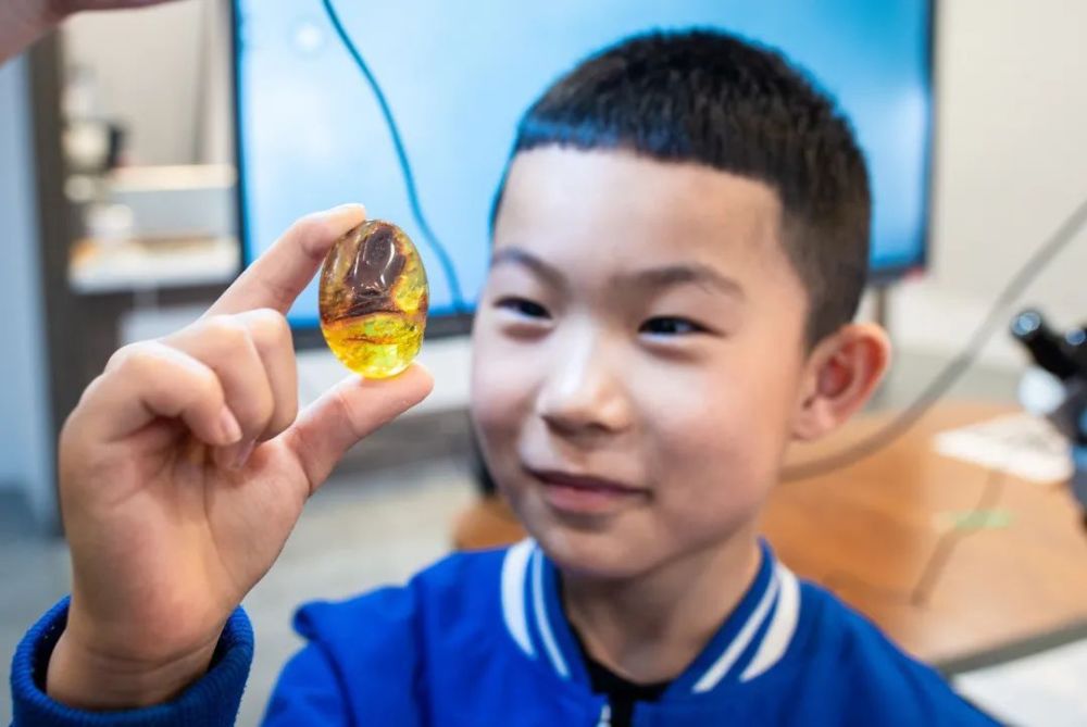 玉泉区拓展科普视野探秘琥珀世界