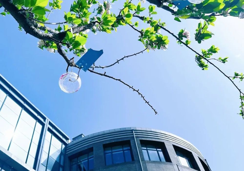 ChatGPT挑战保险代理人？智能机器人能否接棒，信任与责任之问