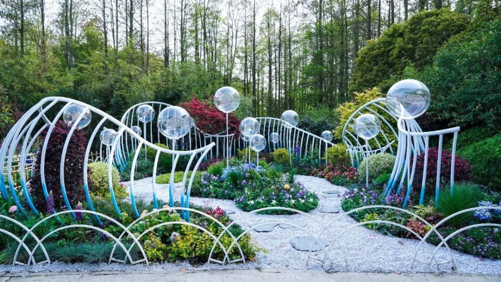 2023上海(国际)花展精彩抢先看_腾讯新闻