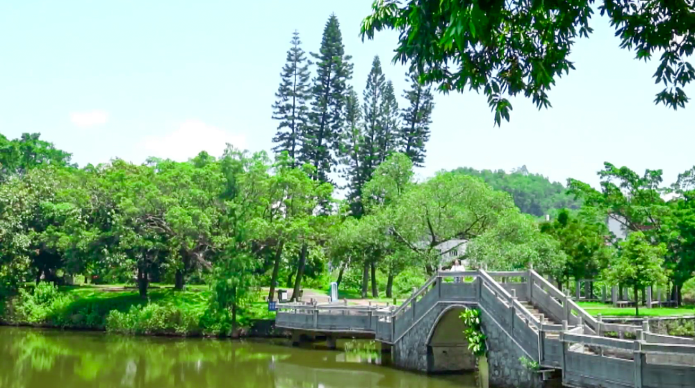 在恩平,寻找绿美的春天……_腾讯新闻