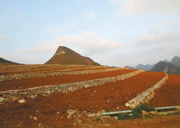 西畴县实施石漠化综合治理"重整石山造福田 多措并举兴产业"