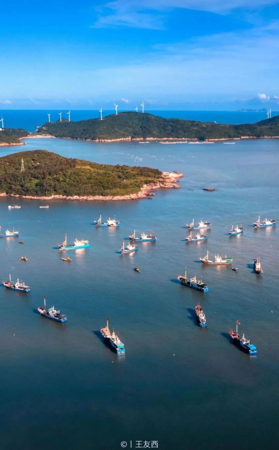 登苍南第一大岛!一路向南 春暖花开_腾讯新闻