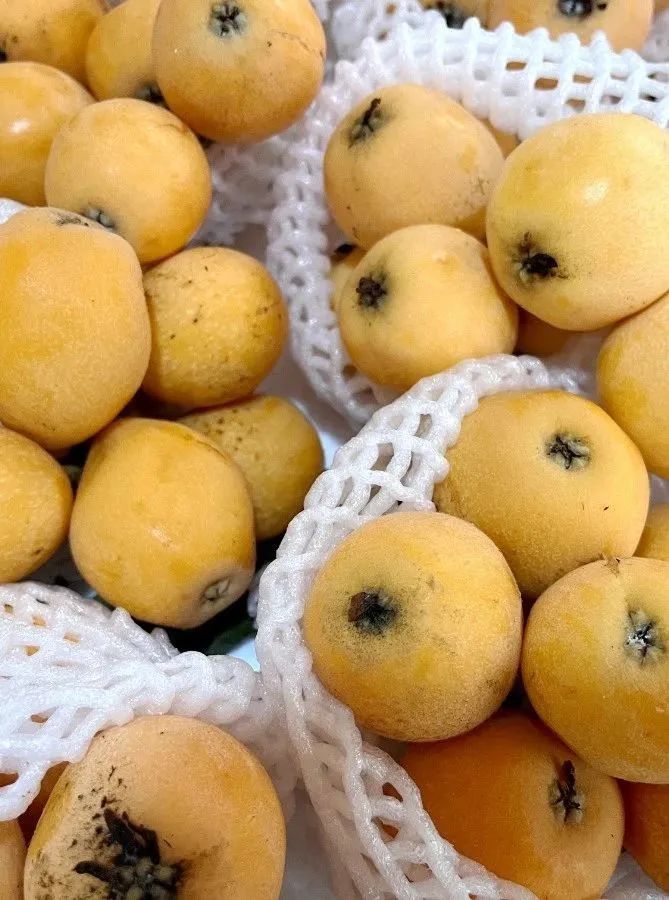 崇左应季水果上市啦,一起来看看价格如何