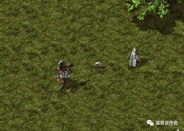 热血传奇:极品大勇 vs 半兽统领,哪个实力更强?