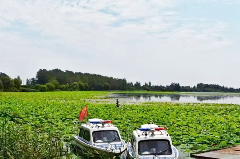 萧县黄河故道湿地保护区守护地球之肾人人有责