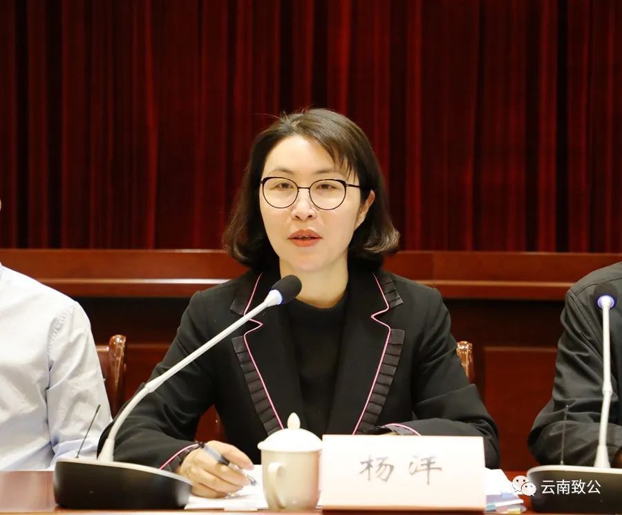 省人民政府副省长,致公党云南省委会主委杨洋主持会议并讲话.