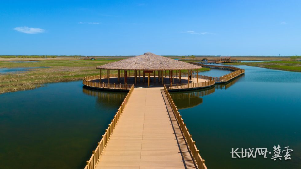 长城网·冀云客户端记者霍少轩摄春日的白洋淀长廊.