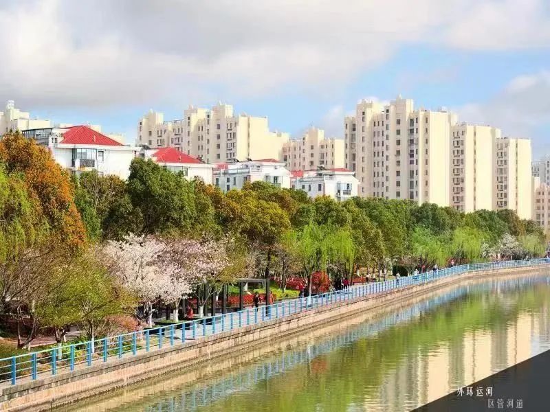 云赏河湖丨水清景美锦绣浦东外环运河