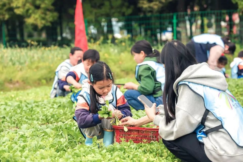 农趣直播这场田园农趣活动看点满满