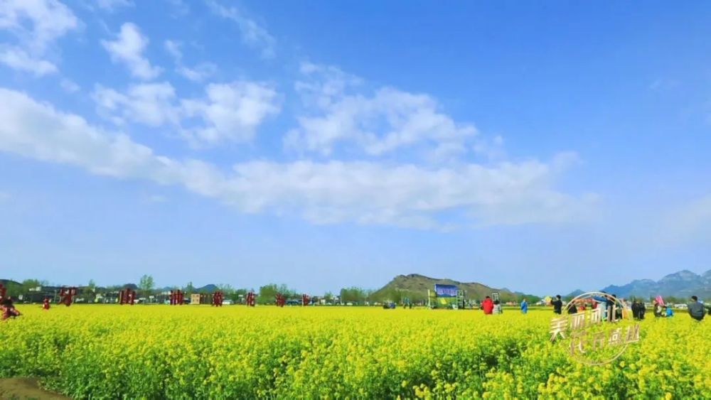 美丽河北花开燕赵保定狼牙山绚丽花海邂逅春日浪漫
