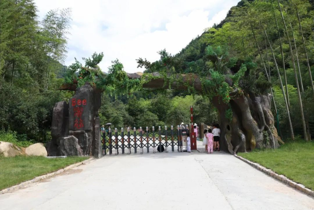 【上饶天下show之广信区】中华蜜蜂谷:藏在五府山竹海密林中的蜜蜂"