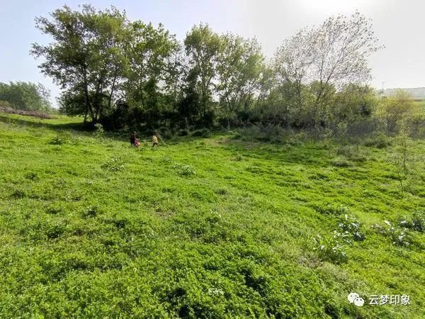 深藏平原云梦美丽的河漫滩草甸