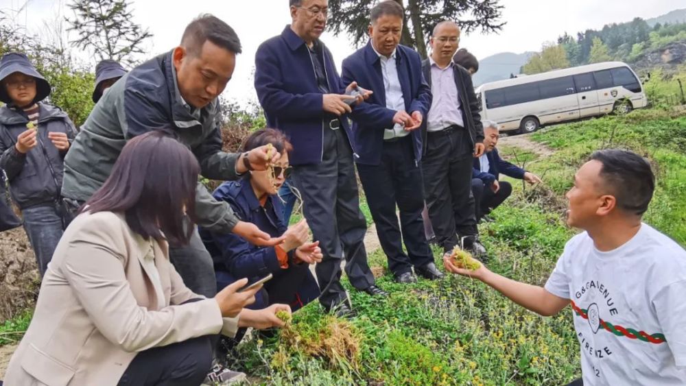 农工党吉林省委专职副主委梁冬梅一行赴大方县开展乡村振兴调研及捐赠活动_腾讯新闻